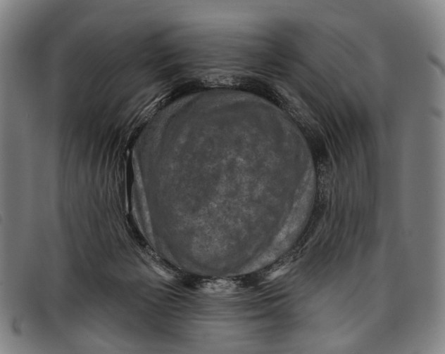 X0000097850125200804041515