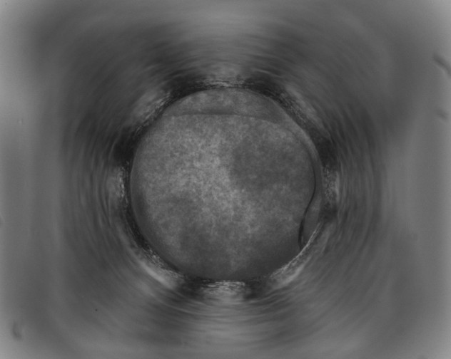 X0000097850128200804041515