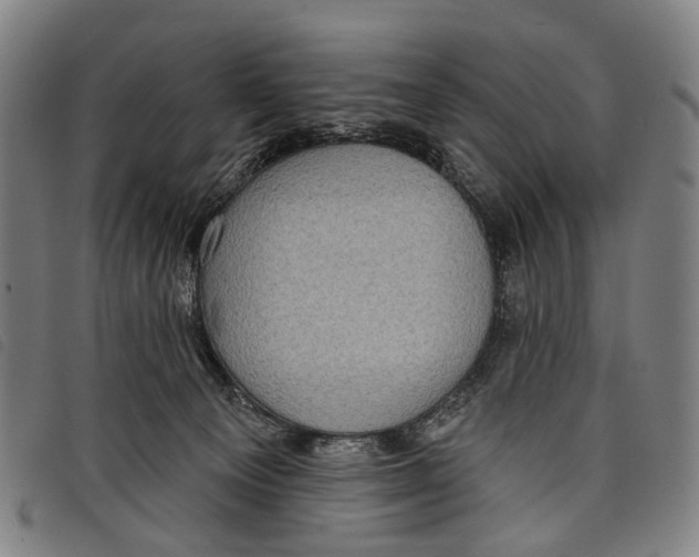 X0000097850129200804041515