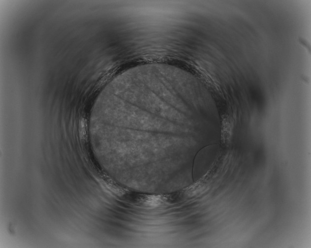 X0000097850130200804041515