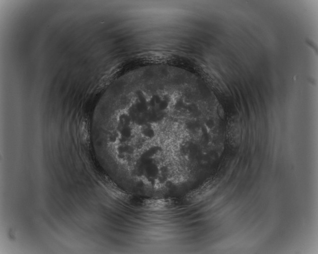 X0000097850131200804041515