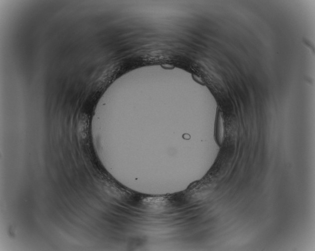 X0000097850133200804041515