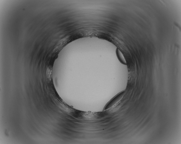 X0000097850142200804041515