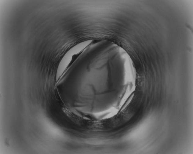 X0000097850143200804041515