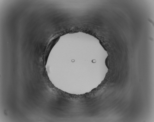 X0000097850144200804041515