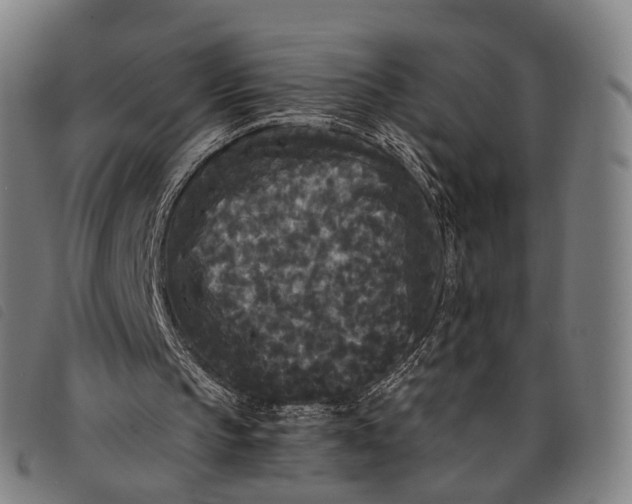 X0000097850145200804041514