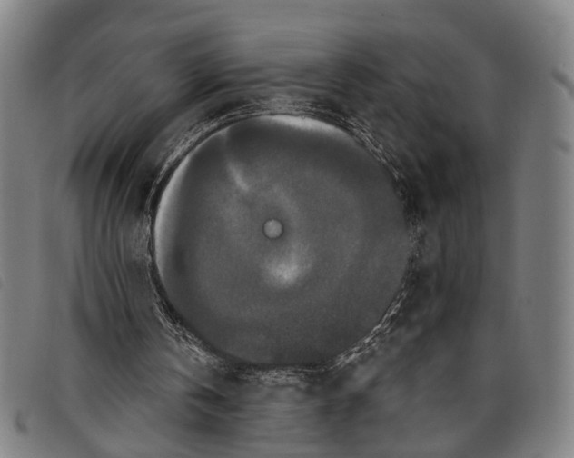 X0000097850146200804041514