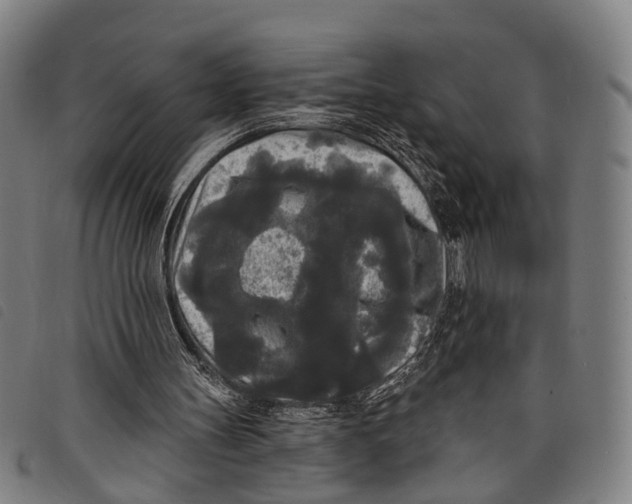 X0000097850147200804041514