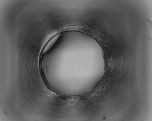 X0000097850148200804041514