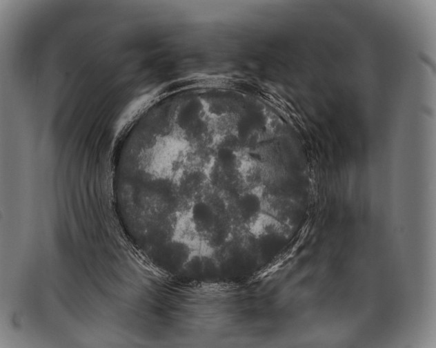 X0000097850149200804041514