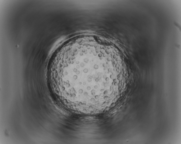 X0000097850151200804041514