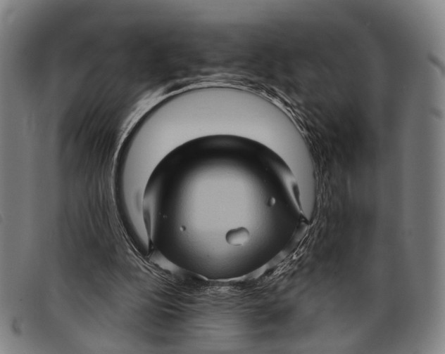 X0000097850152200804041514