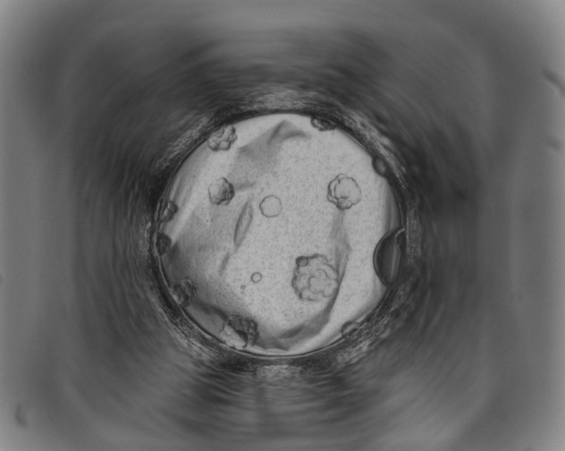 X0000097850153200804041514