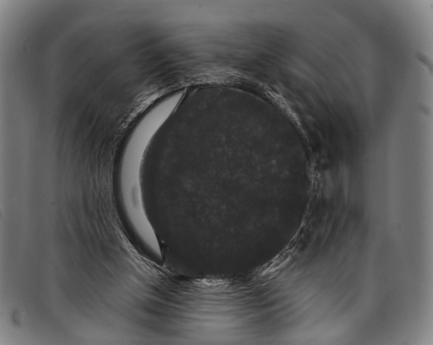 X0000097850154200804041514