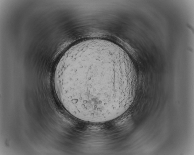 X0000097850155200804041514