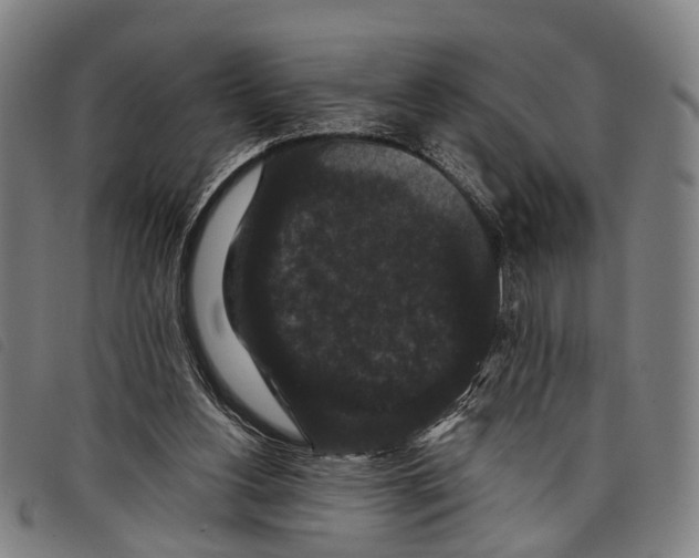 X0000097850156200804041514