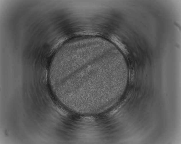 X0000097850157200804041514