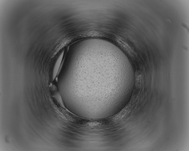 X0000097850158200804041514