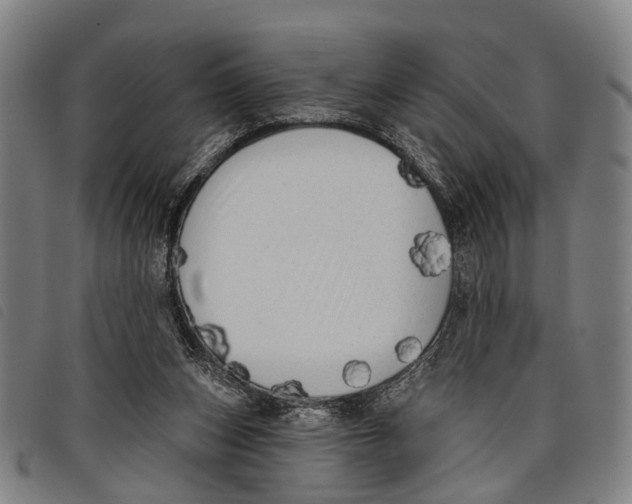 X0000097850159200804041514