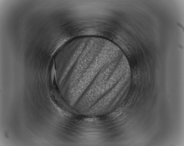 X0000097850160200804041514