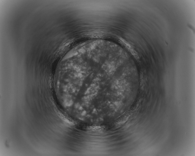 X0000097850161200804041514