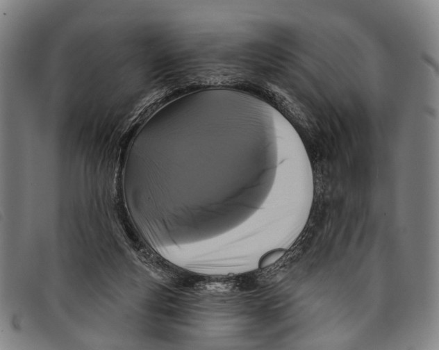 X0000097850163200804041514