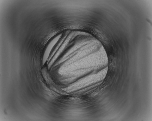 X0000097850164200804041514