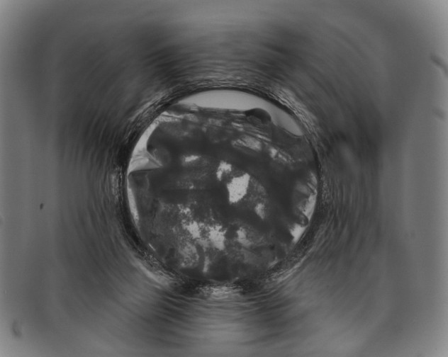 X0000097850165200804041514