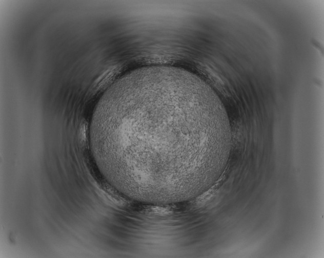 X0000097850166200804041514