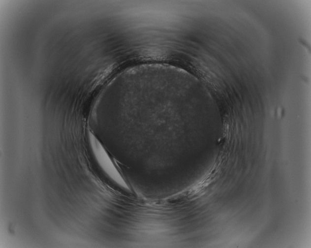 X0000097850168200804041514