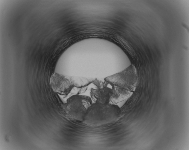 X0000097850169200804041514