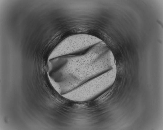 X0000097850170200804041514