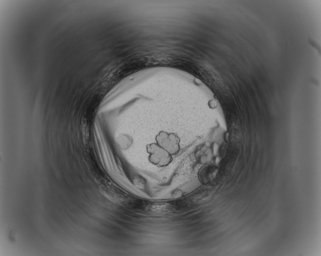 X0000097850173200804041514