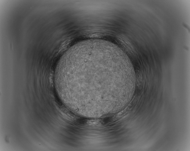 X0000097850175200804041514