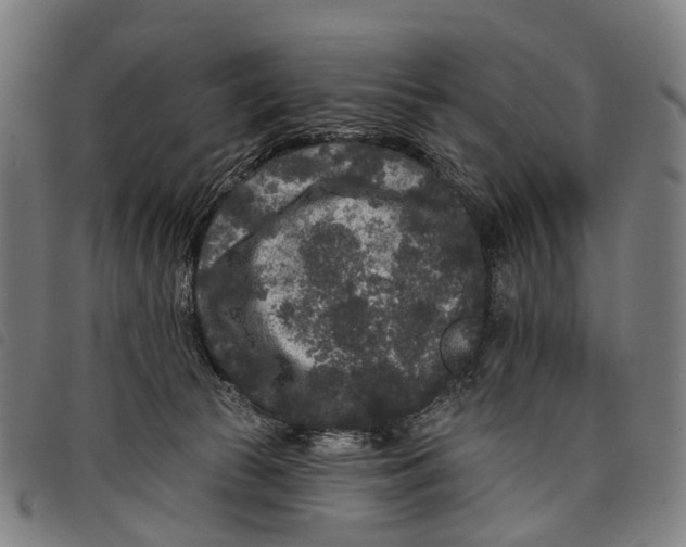 X0000097850177200804041514