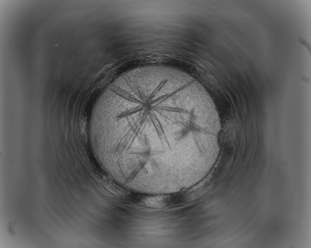 X0000097850178200804041514