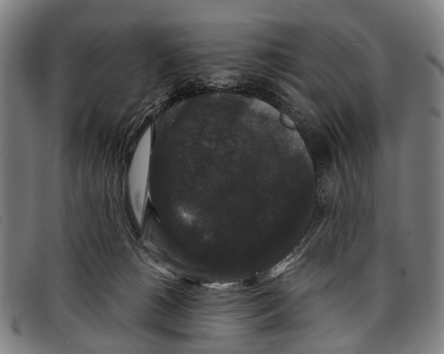 X0000097850180200804041515