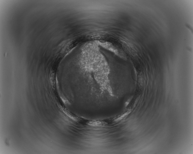 X0000097850181200804041515