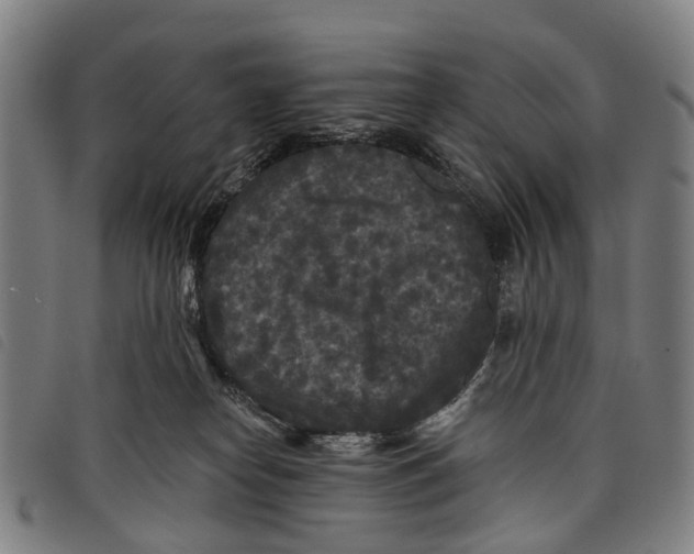 X0000097850182200804041515