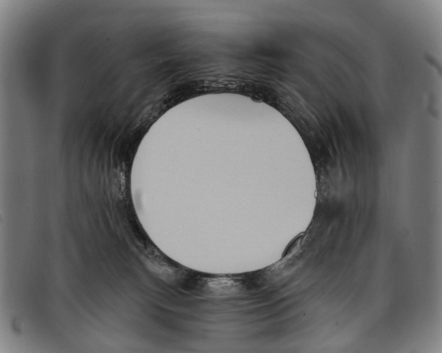 X0000097850183200804041515