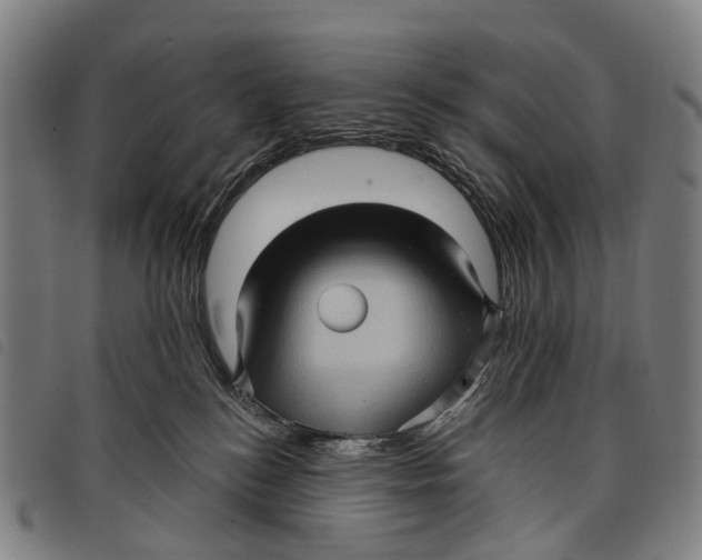 X0000097850184200804041515