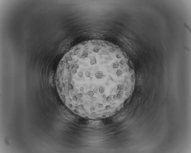 X0000097850185200804041515