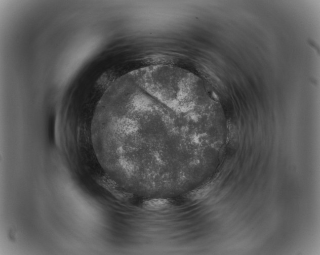 X0000097850189200804041515