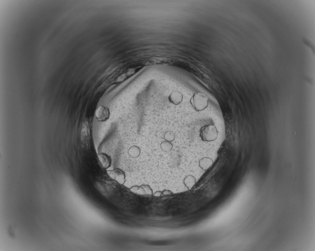 X0000097850191200804041515