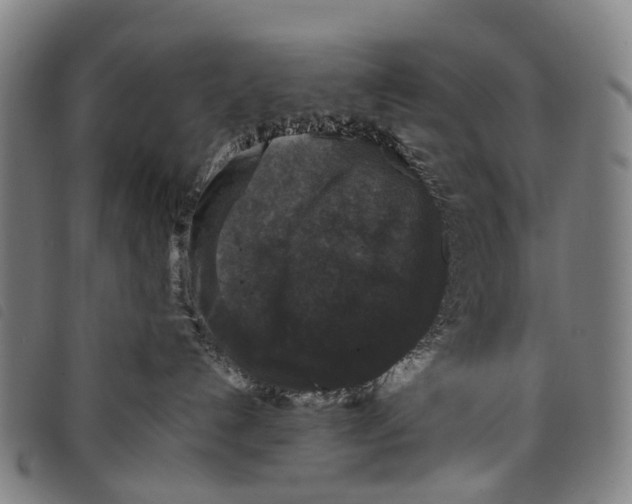 X0000097850192200804041515