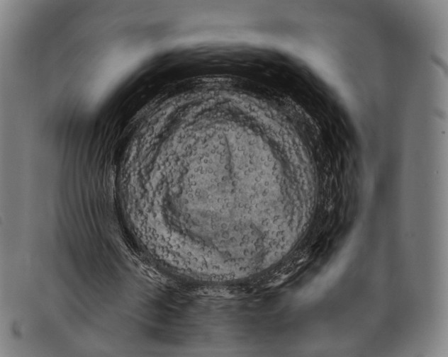 X0000097850194200804041514