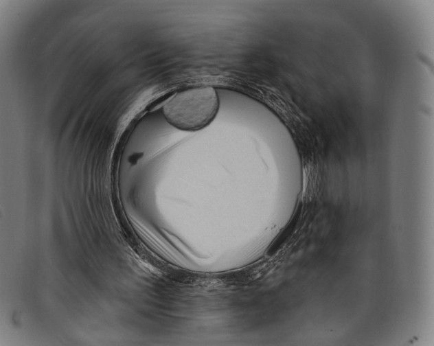 X0000097850195200804041514