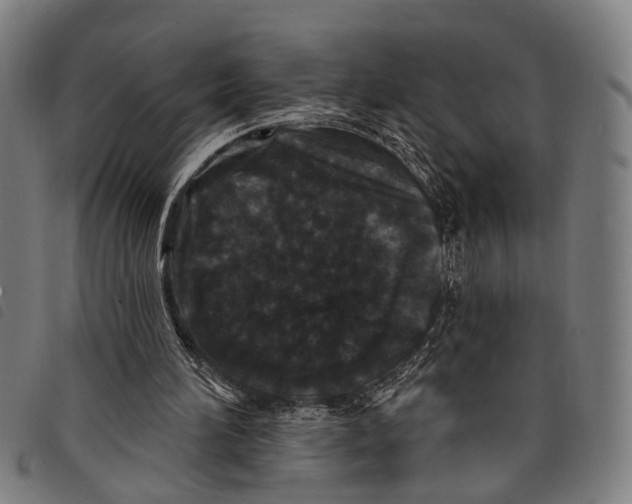 X0000097850196200804041514