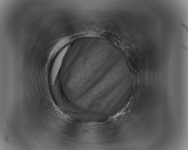 X0000097850197200804041514