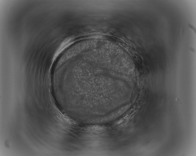 X0000097850198200804041514